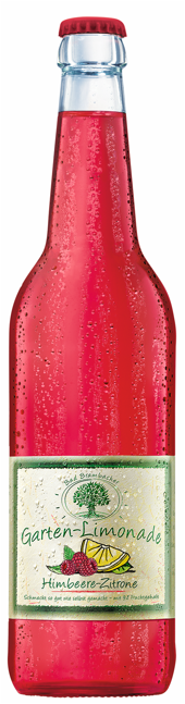 Bad Brambacher Garten-Limonade Himbeer-Zitrone Kasten 20 x 0,5 l  