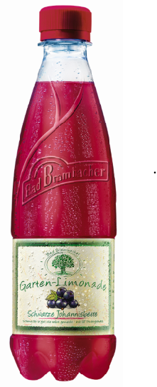 Bad Brambacher Schwarze Johannisbeere Kasten 20 x 0,5 l 